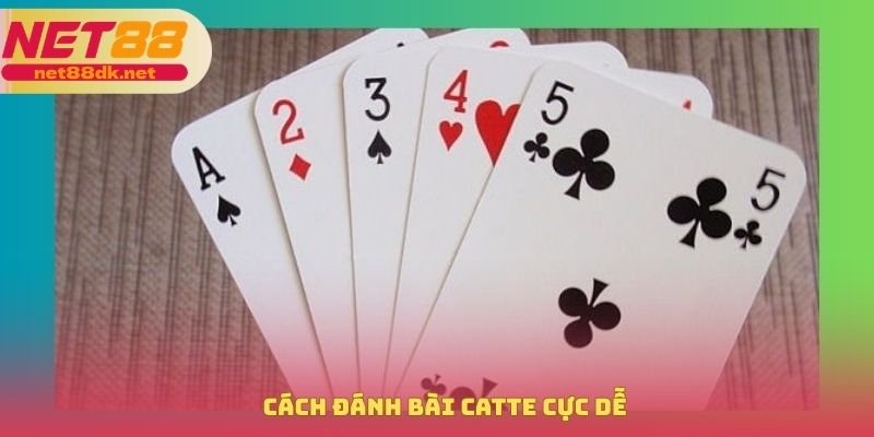 Cách đánh bài catte cực dễ