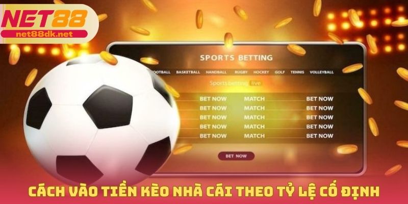 Cách vào tiền kèo nhà cái theo tỷ lệ cố định