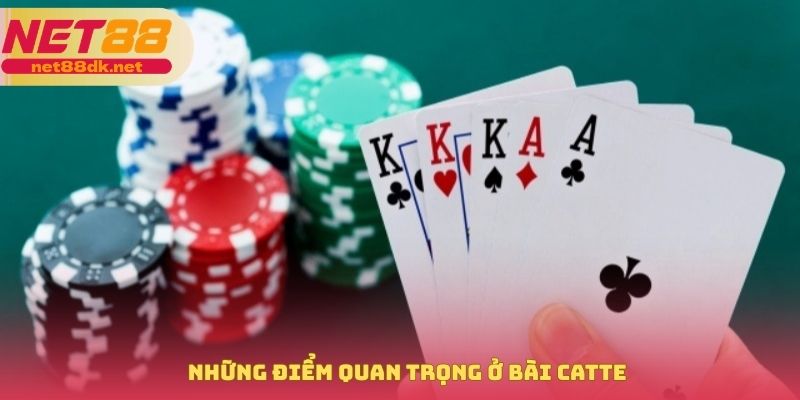 Những điểm quan trọng ở bài catte