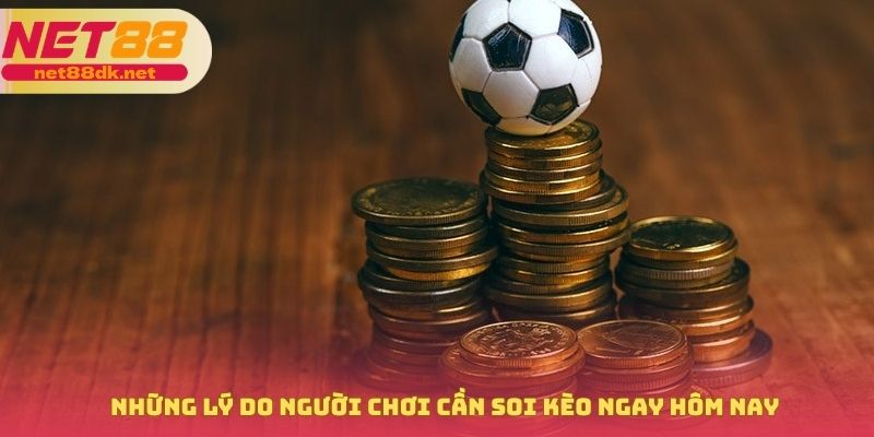 Những lý do người chơi cần soi kèo ngay hôm nay