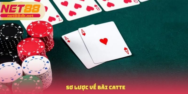 Sơ lược về bài catte
